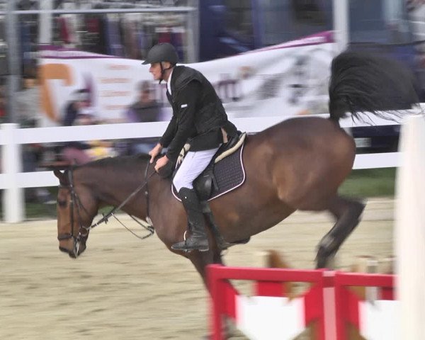 Reitturnier Leutkirch-Diepoldshofen 2018