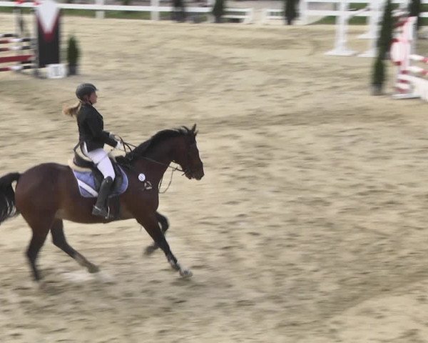 Reitturnier Leutkirch-Diepoldshofen 2018