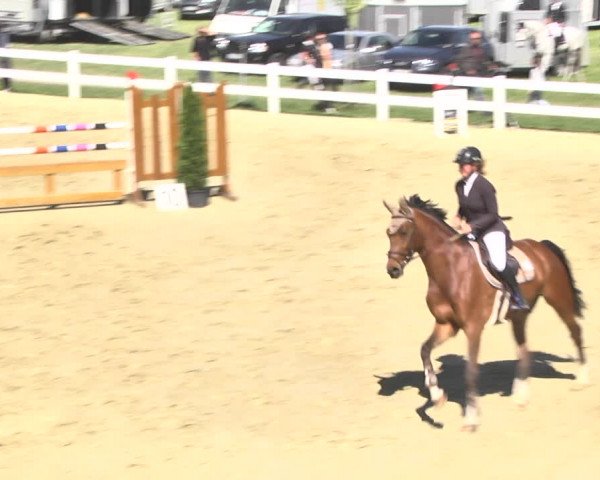 Reitturnier Leutkirch-Diepoldshofen 2018