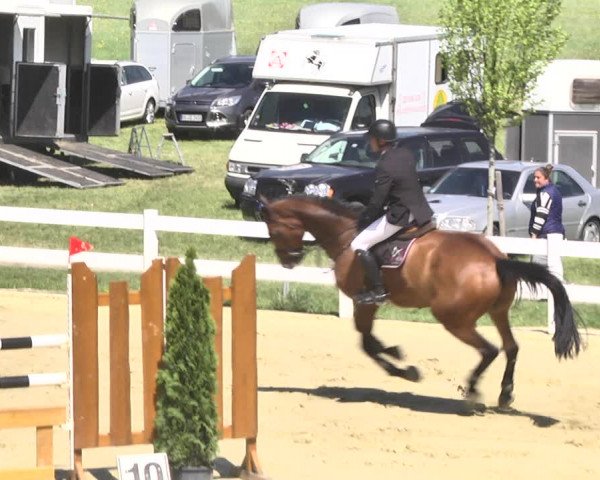 Reitturnier Leutkirch-Diepoldshofen 2018