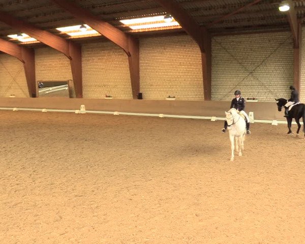 Reitturnier Kamen 2018