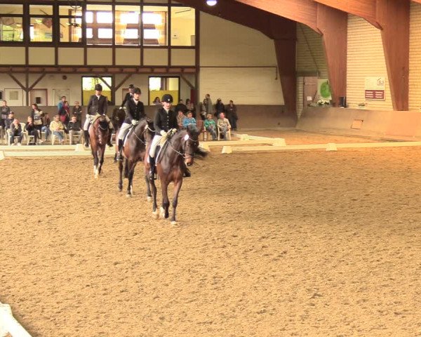 Reitturnier Kamen 2018