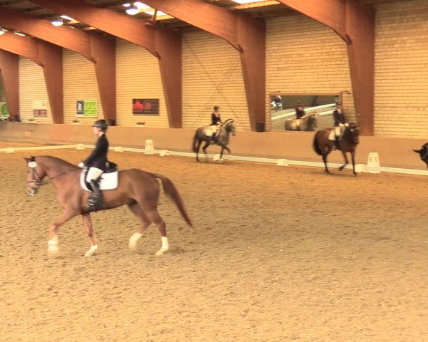Reitturnier Kamen 2018