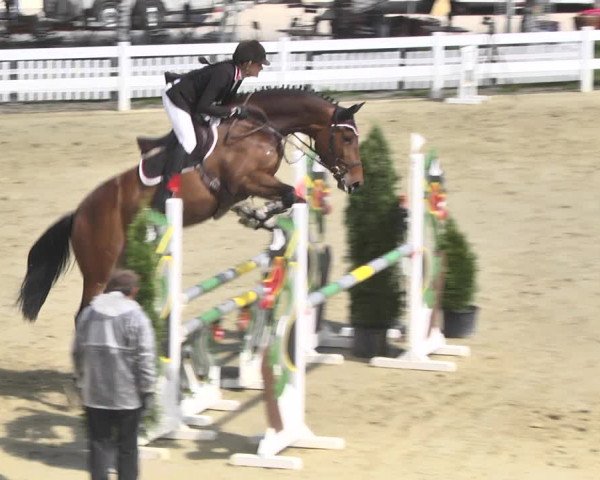 Reitturnier Leutkirch-Diepoldshofen 2018