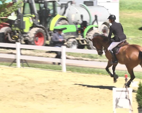 Reitturnier Leutkirch-Diepoldshofen 2018