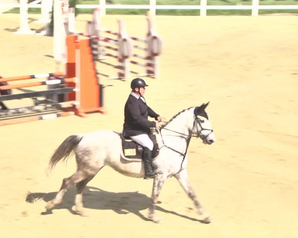 Reitturnier Leutkirch-Diepoldshofen 2018