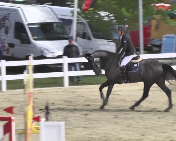 Reitturnier Leutkirch-Diepoldshofen 2018