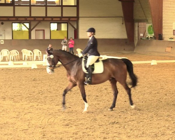Reitturnier Kamen 2018