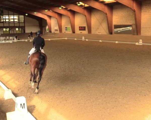 Reitturnier Kamen 2018