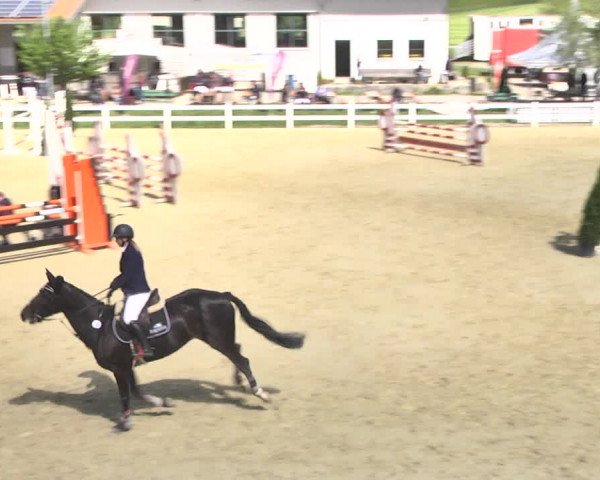 Reitturnier Leutkirch-Diepoldshofen 2018