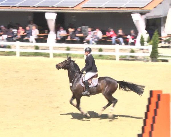 Reitturnier Leutkirch-Diepoldshofen 2018