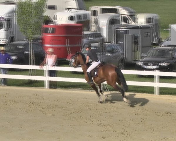 Reitturnier Leutkirch-Diepoldshofen 2018
