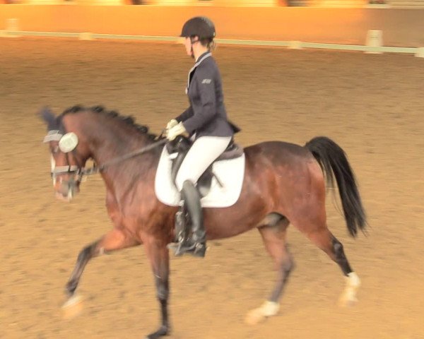 Reitturnier Kamen 2018