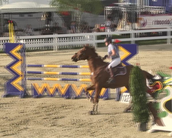 Reitturnier Leutkirch-Diepoldshofen 2018