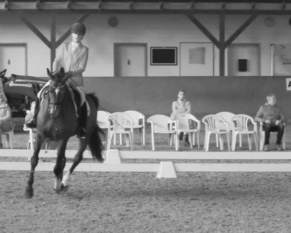 Reitturnier Kamen 2018