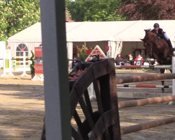 Reitturnier Havixbeck 2018