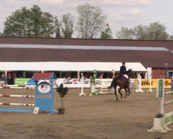 Reitturnier Havixbeck 2018