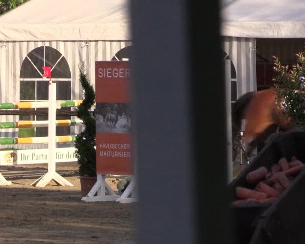 Reitturnier Havixbeck 2018