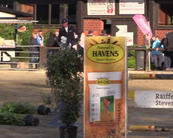 Reitturnier Havixbeck 2018