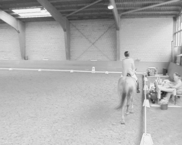 Reitturnier Kamen 2018