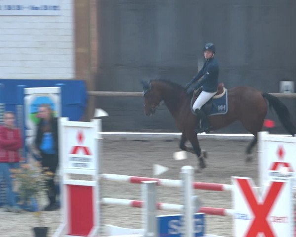 Reitturnier Sögel 2021