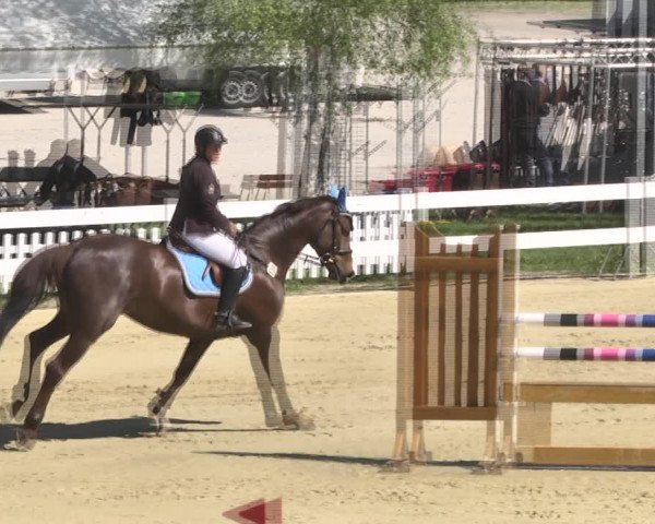 Reitturnier Leutkirch-Diepoldshofen 2018
