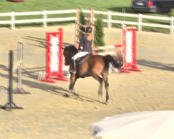 Reitturnier Leutkirch-Diepoldshofen 2018