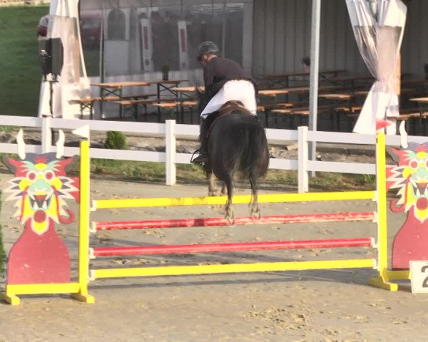Reitturnier Leutkirch-Diepoldshofen 2018