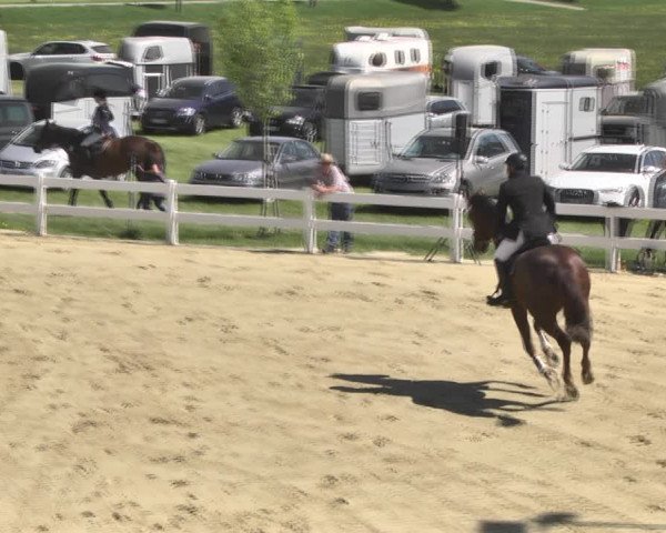 Reitturnier Leutkirch-Diepoldshofen 2018