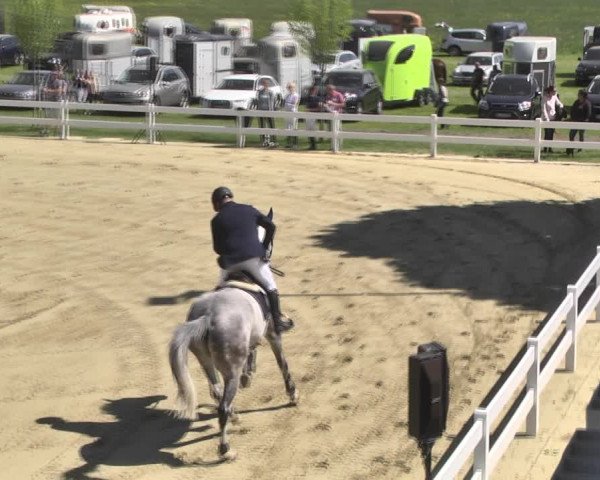 Reitturnier Leutkirch-Diepoldshofen 2018