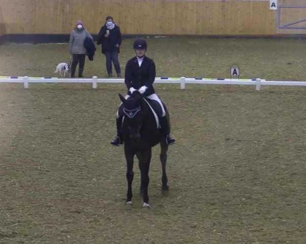 Reitturnier Datteln 2021