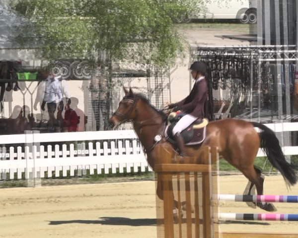 Reitturnier Leutkirch-Diepoldshofen 2018