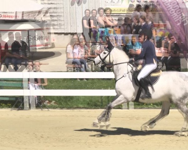 Reitturnier Leutkirch-Diepoldshofen 2018
