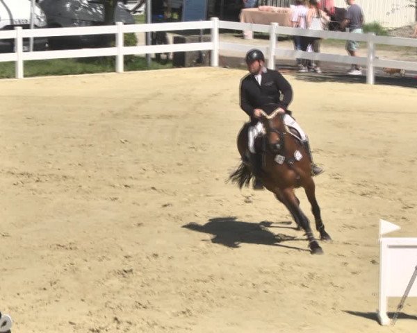 Reitturnier Leutkirch-Diepoldshofen 2018
