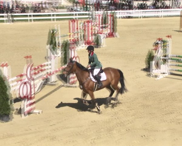 Reitturnier Leutkirch-Diepoldshofen 2018