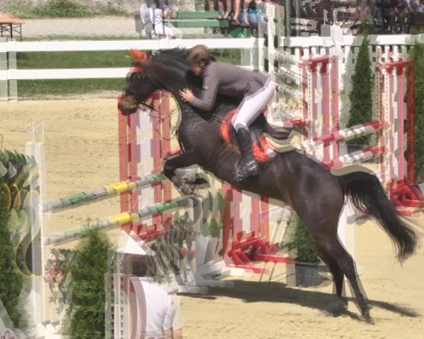 Reitturnier Leutkirch-Diepoldshofen 2018