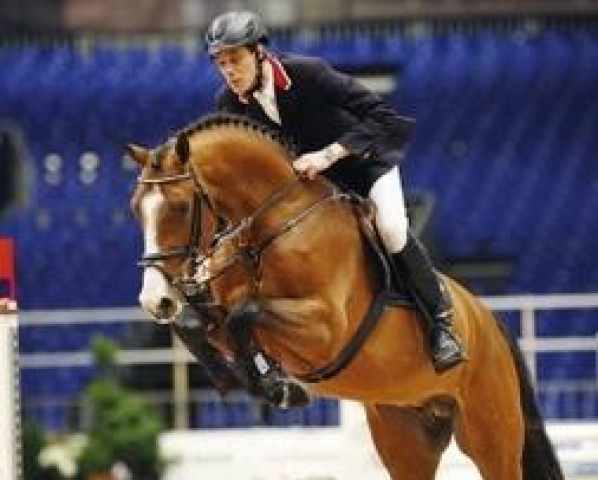 stallion Cannavaros (Holsteiner, 2006, from Cassini I)