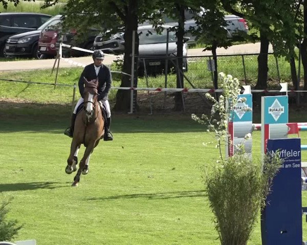 Reitturnier Uster 2018