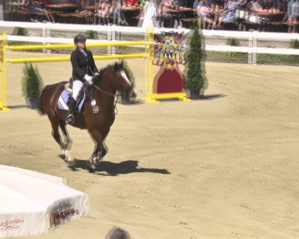 Reitturnier Leutkirch-Diepoldshofen 2018