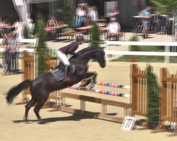 Reitturnier Leutkirch-Diepoldshofen 2018