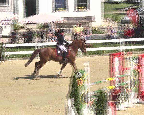 Reitturnier Leutkirch-Diepoldshofen 2018