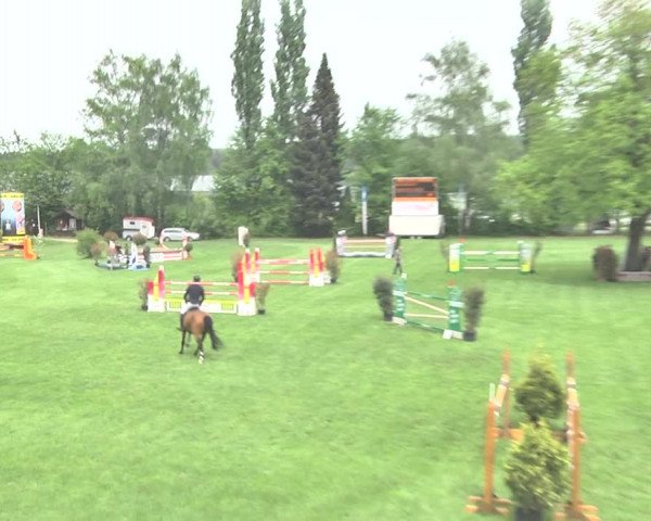 Reitturnier Uster 2018