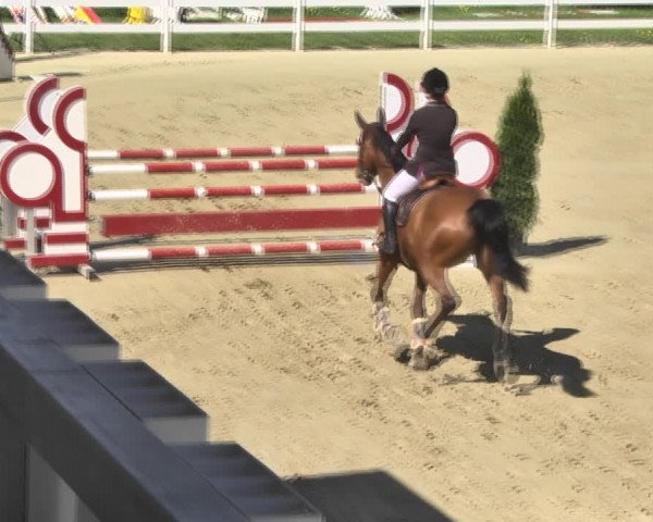Reitturnier Leutkirch-Diepoldshofen 2018