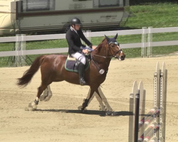 Reitturnier Leutkirch-Diepoldshofen 2018