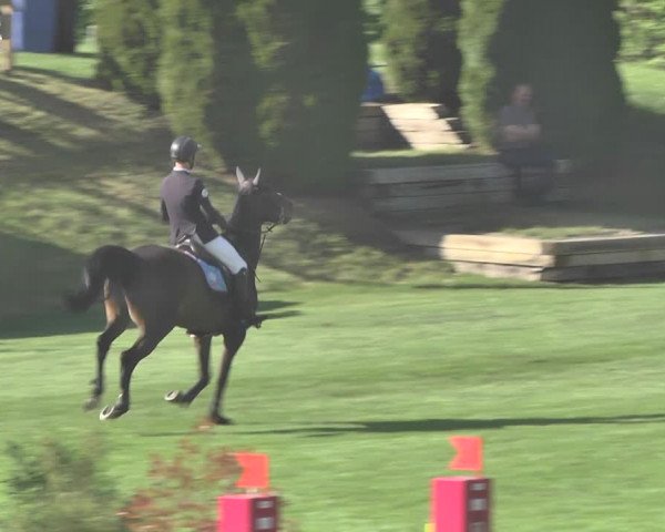 Reitturnier Uster 2018