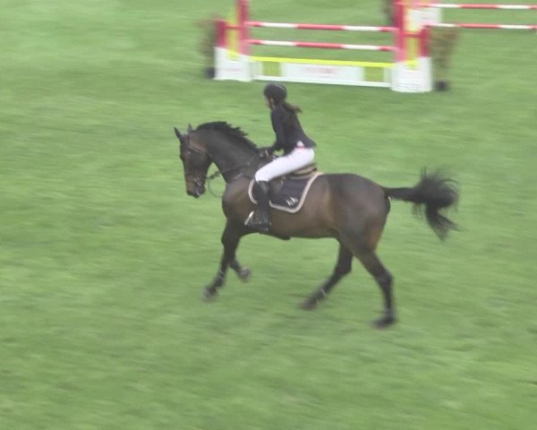 Reitturnier Uster 2018