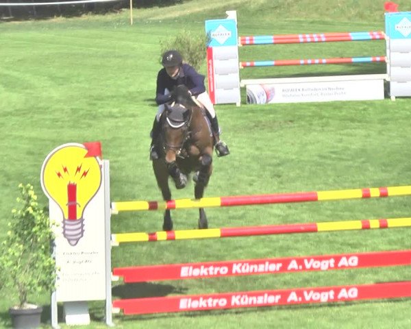 Reitturnier Uster 2018