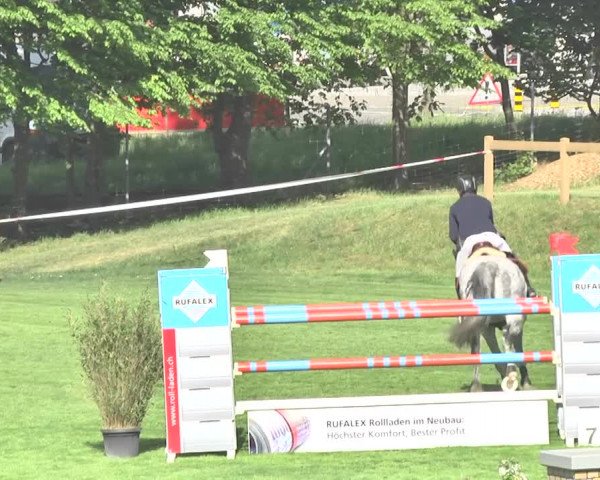 Reitturnier Uster 2018