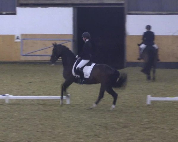 Reitturnier Datteln 2021