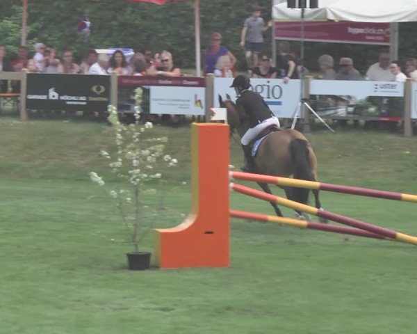 Reitturnier Uster 2018